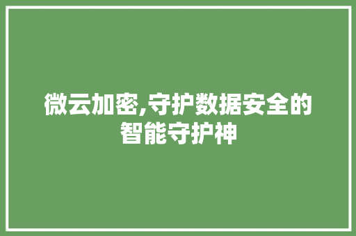 微云加密,守护数据安全的智能守护神