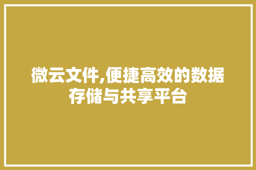 微云文件,便捷高效的数据存储与共享平台