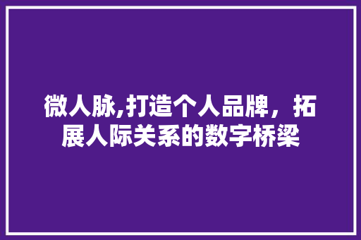 微人脉,打造个人品牌，拓展人际关系的数字桥梁