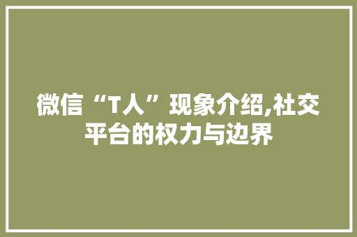 微信“T人”现象介绍,社交平台的权力与边界