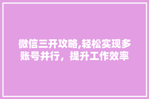 微信三开攻略,轻松实现多账号并行，提升工作效率