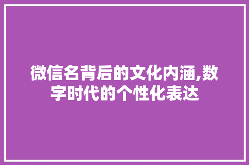 微信名背后的文化内涵,数字时代的个性化表达