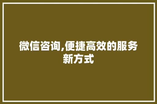 微信咨询,便捷高效的服务新方式