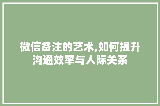 微信备注的艺术,如何提升沟通效率与人际关系