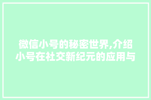 微信小号的秘密世界,介绍小号在社交新纪元的应用与价值