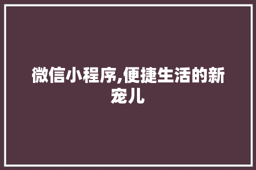 微信小程序,便捷生活的新宠儿 服务器/数据库
