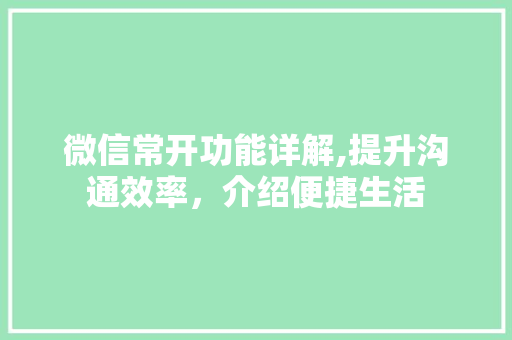 微信常开功能详解,提升沟通效率，介绍便捷生活 WordPress教程