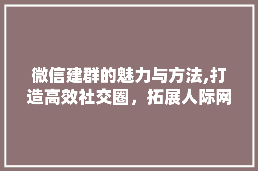 微信建群的魅力与方法,打造高效社交圈，拓展人际网络
