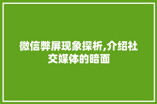 微信弊屏现象探析,介绍社交媒体的暗面