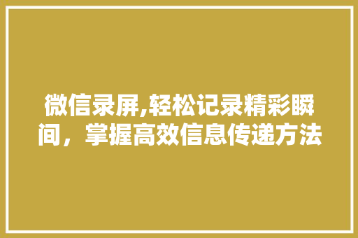 微信录屏,轻松记录精彩瞬间，掌握高效信息传递方法 Web前端