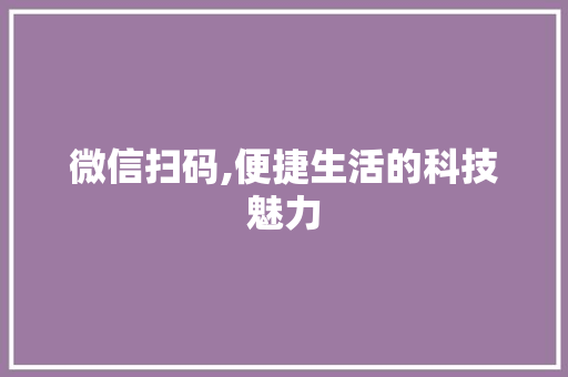 微信扫码,便捷生活的科技魅力 Web前端