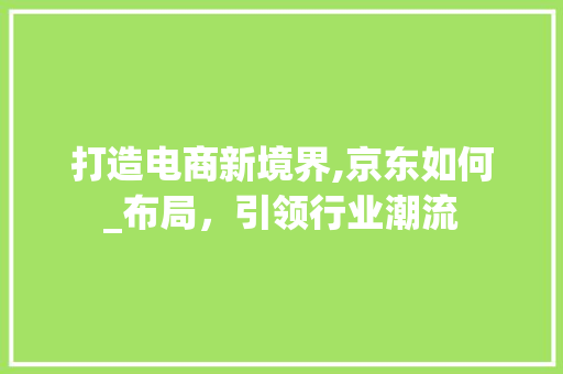 打造电商新境界,京东如何_布局，引领行业潮流