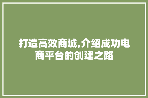 打造高效商城,介绍成功电商平台的创建之路