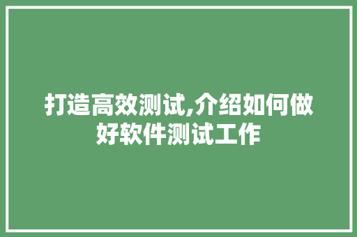 打造高效测试,介绍如何做好软件测试工作