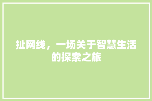 扯网线，一场关于智慧生活的探索之旅