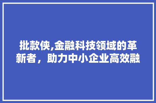 批款侠,金融科技领域的革新者，助力中小企业高效融资