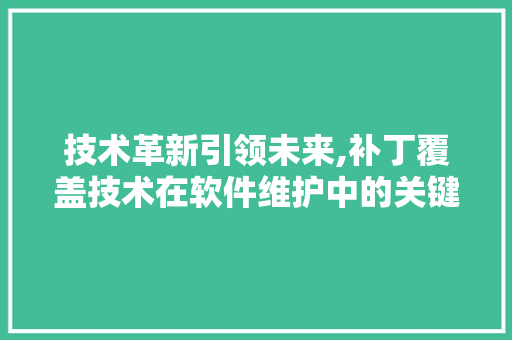 技术革新引领未来,补丁覆盖技术在软件维护中的关键作用