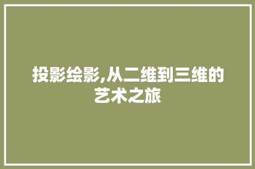投影绘影,从二维到三维的艺术之旅
