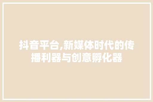 抖音平台,新媒体时代的传播利器与创意孵化器