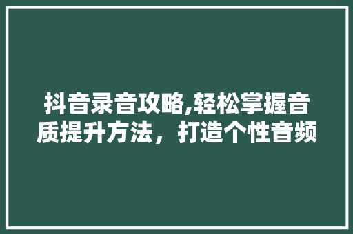 抖音录音攻略,轻松掌握音质提升方法，打造个性音频作品