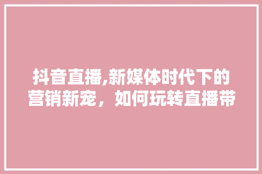 抖音直播,新媒体时代下的营销新宠，如何玩转直播带货
