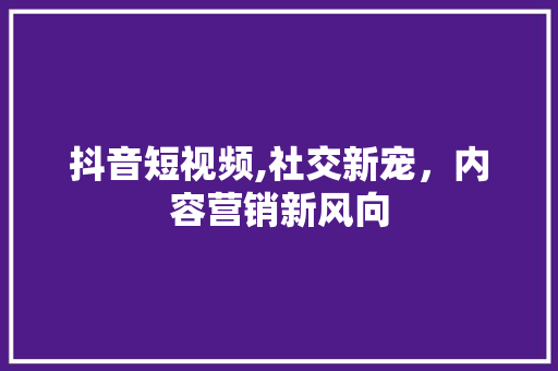 抖音短视频,社交新宠，内容营销新风向
