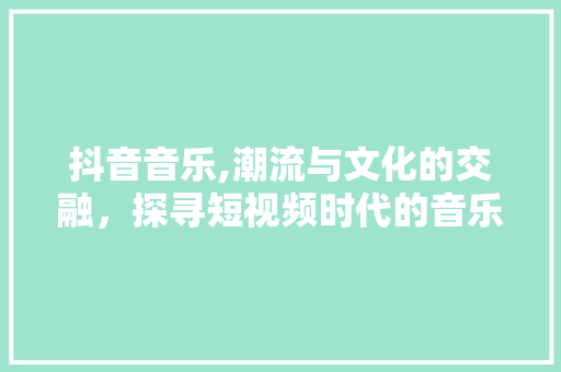 抖音音乐,潮流与文化的交融，探寻短视频时代的音乐新风尚 SEO教程
