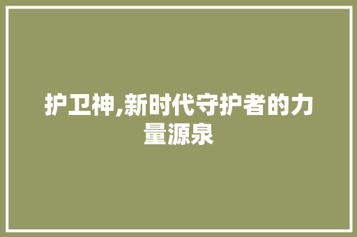 护卫神,新时代守护者的力量源泉
