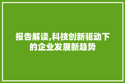 报告解读,科技创新驱动下的企业发展新趋势