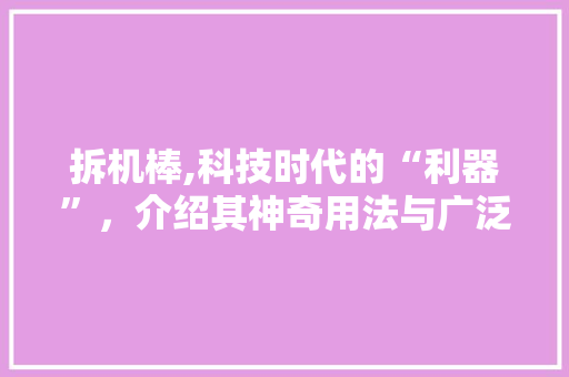 拆机棒,科技时代的“利器”，介绍其神奇用法与广泛应用