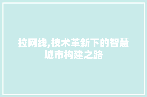 拉网线,技术革新下的智慧城市构建之路