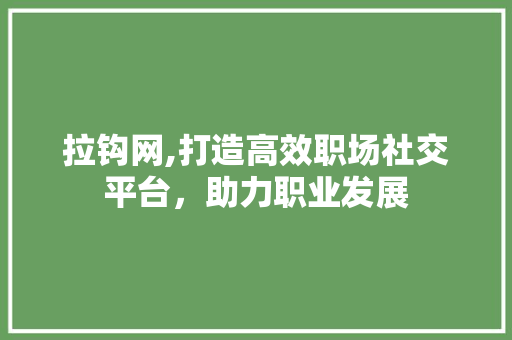 拉钩网,打造高效职场社交平台，助力职业发展