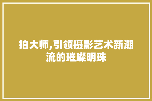 拍大师,引领摄影艺术新潮流的璀璨明珠