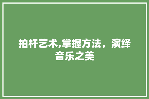 拍杆艺术,掌握方法，演绎音乐之美 WordPress教程