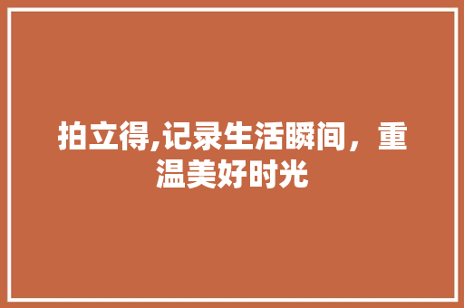 拍立得,记录生活瞬间，重温美好时光 WordPress教程