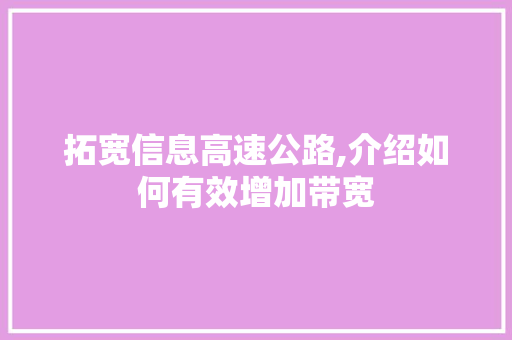 拓宽信息高速公路,介绍如何有效增加带宽 WordPress教程