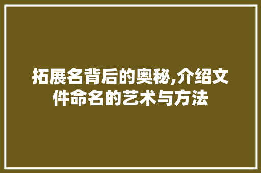拓展名背后的奥秘,介绍文件命名的艺术与方法 WordPress教程