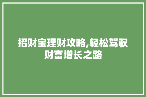 招财宝理财攻略,轻松驾驭财富增长之路 WordPress教程