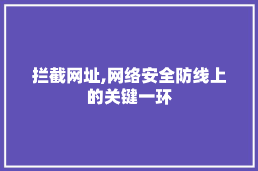 拦截网址,网络安全防线上的关键一环