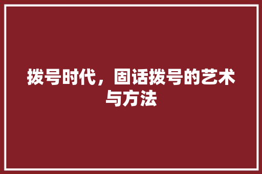 拨号时代，固话拨号的艺术与方法