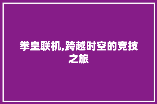 拳皇联机,跨越时空的竞技之旅