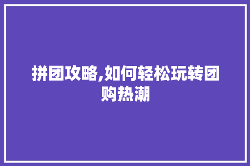 拼团攻略,如何轻松玩转团购热潮