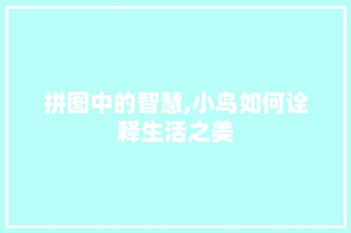 拼图中的智慧,小鸟如何诠释生活之美
