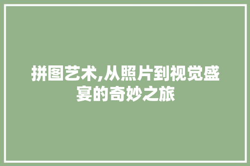拼图艺术,从照片到视觉盛宴的奇妙之旅