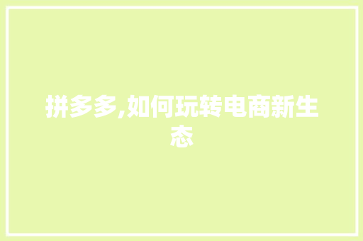 拼多多,如何玩转电商新生态