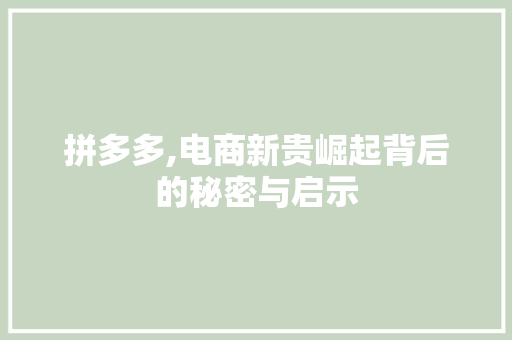 拼多多,电商新贵崛起背后的秘密与启示 SEO教程