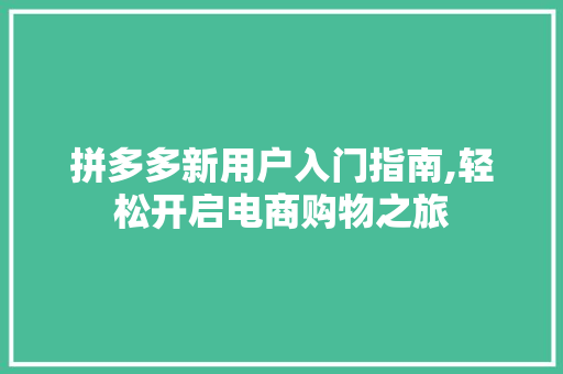 拼多多新用户入门指南,轻松开启电商购物之旅