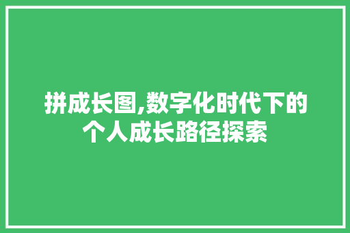 拼成长图,数字化时代下的个人成长路径探索