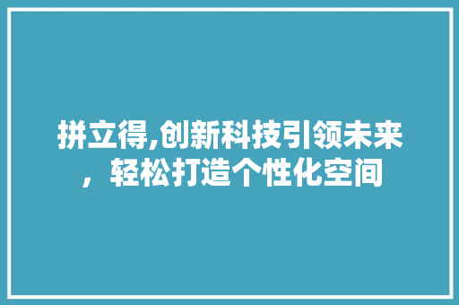 拼立得,创新科技引领未来，轻松打造个性化空间 Web前端