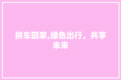 拼车回家,绿色出行，共享未来 SEO教程
